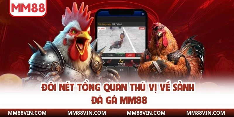 Đôi nét tổng quan thú vị về sảnh đá gà MM88